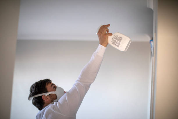 Best Black Mold Removal  in Hanahan, SC